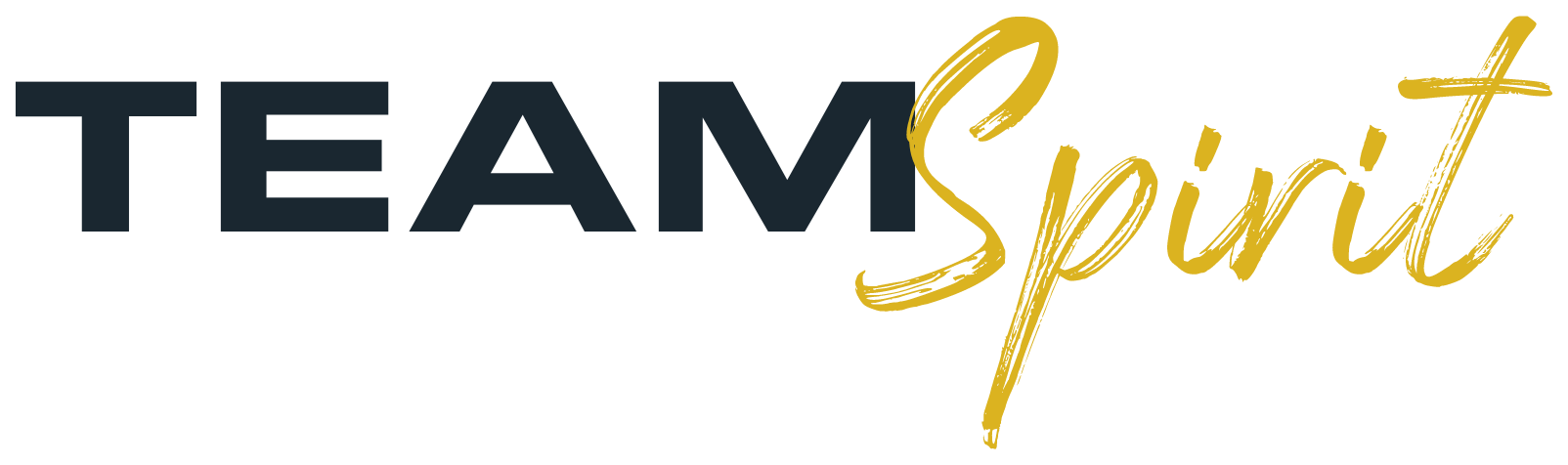 TeamSpirit